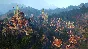 Champions of Anteria (uplay key) -- RU
