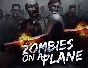 Zombies on A Plane (steam key)
