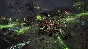 Total War WARHAMMER II (Steam key)