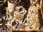 Desperados Wanted Dead Or Alive (steam key)