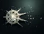 ENDLESS SPACE 2 (steam key) -- RU