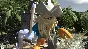 LEGO Pirates of the Caribbean (Steam) -- Region free