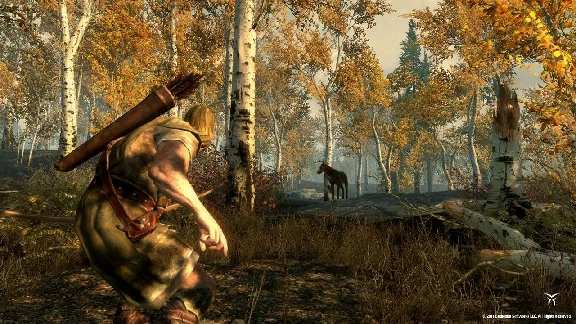 The Elder Scrolls V Skyrim (steam key)