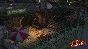 Jagged Alliance Crossfire (steam key)