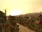 Crusaders Thy Kingdom Come (steam key)