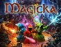 Magicka (steam key)
