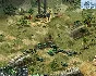 Cuban Missile Crisis Ice Crusade (steam key)