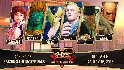 Street Fighter V Season 3 Character Pass (steam)