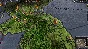 Crusader Kings II Conclave Content Pack (steam)