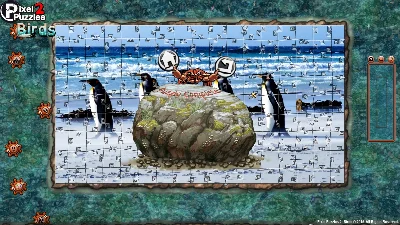 Pixel Puzzles 2  Birds (steam key) -- RU