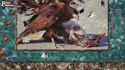 Pixel Puzzles 2  Birds (steam key) -- RU