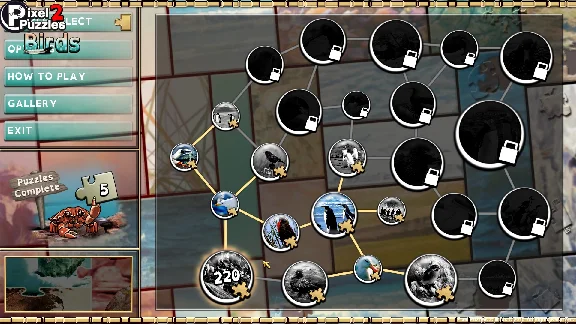 Pixel Puzzles 2  Birds (steam key) -- RU