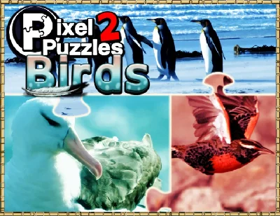 Pixel Puzzles 2  Birds (steam key) -- RU