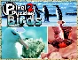 Pixel Puzzles 2  Birds (steam key) -- RU