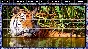 Pixel Puzzles Mosaics (steam key) -- RU