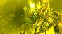 Sparkle 3 Genesis (steam key)
