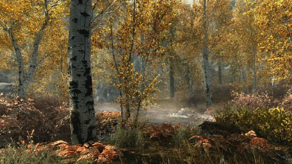 The Elder Scrolls V Skyrim Special Edition Steam