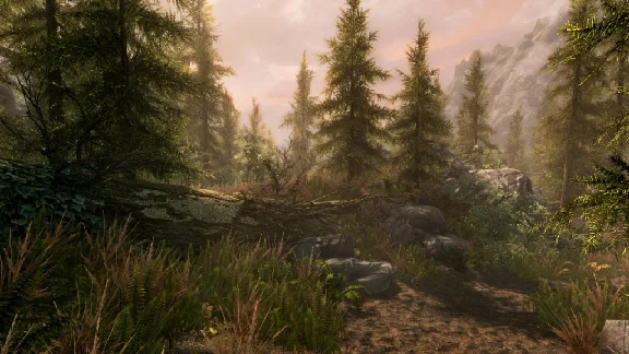 The Elder Scrolls V Skyrim Special Edition Steam