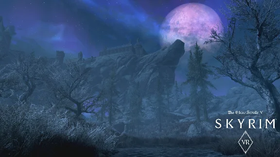 The Elder Scrolls V Skyrim VR (steam key)