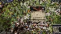 Crusader Kings II The Reapers Due (steam key)