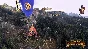 Total War WARHAMMER The King and Warlord Steam
