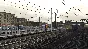 Train Simulator Midland Main LondonBedford Steam