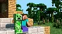 Minecraft Premium | Access to the launcher