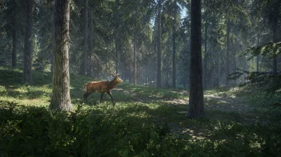theHunter: Call of the Wild * RU/KZ/СНГ/TR/AR * STEAM