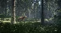theHunter: Call of the Wild * RU/KZ/СНГ/TR/AR * STEAM