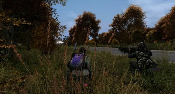 DayZ (Steam | RU+Gift)