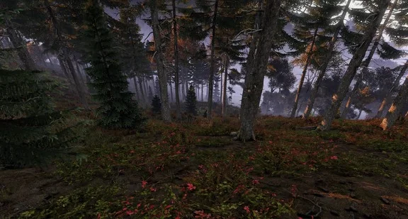 DayZ (Steam | RU+Gift)