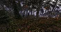 DayZ (Steam | RU+Gift)