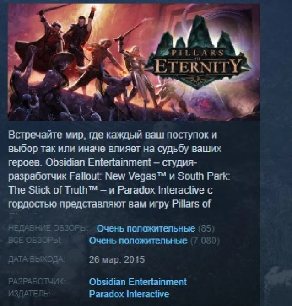 Pillars of Eternity Hero Edition STEAM KEY LICENSE 💎