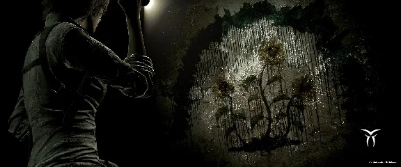 The Evil Within The Consequence DLC (Steam key)