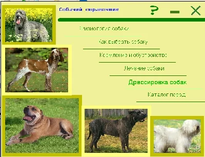СОБАКИ - электронная энциклопедия пород