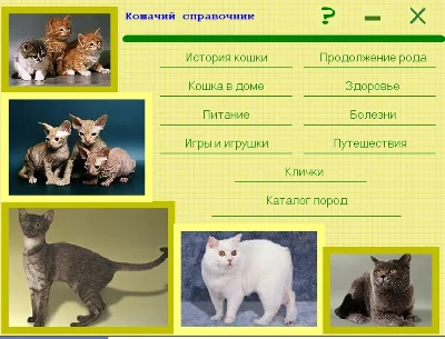 КОШКИ - электронная энциклопедия пород
