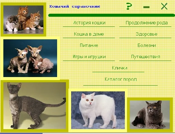 КОШКИ - электронная энциклопедия пород
