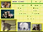 КОШКИ - электронная энциклопедия пород