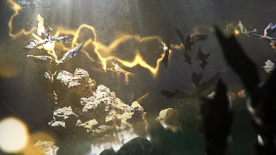 ENDLESS SPACE 2 Lost Symphony (Steam key) -- RU