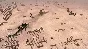 Syrian Warfare (KEY GLOBAL)