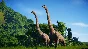 Jurassic World Evolution (Steam - только Россия)