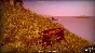 Suicide Simulator - Steam Key / ROW** (not work in RU)