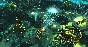 zz Etherium (Steam) RU/CIS