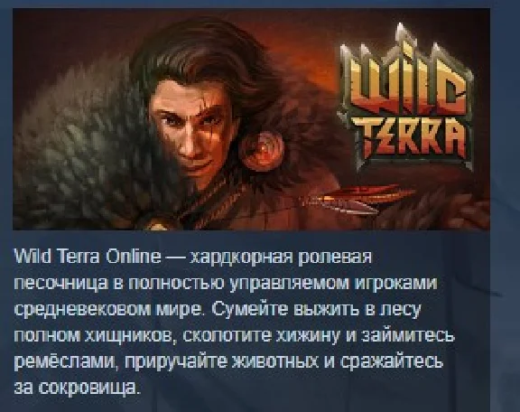 Wild Terra Online 💎STEAM KEY REGION FREE GLOBAL+РОССИЯ