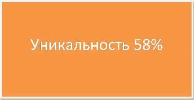 Диплом Кредитный процесс в банке уникальность 58%