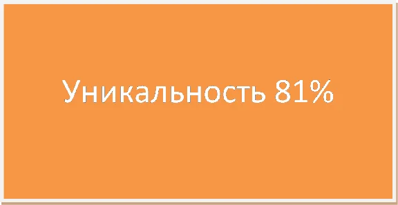 Диплом Проект торгового формата дискаунтер 81% уникальн