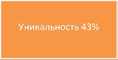 Course Improvement of the price policy of the store