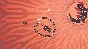 Ophidia STEAM KEY REGION FREE GLOBAL