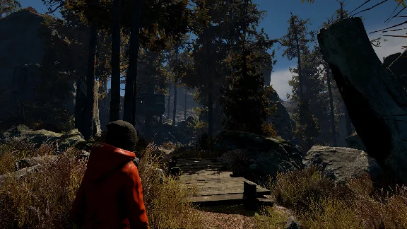 Through the Woods (Steam cd-key RU)