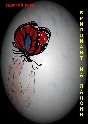 Мне бы умереть или ночь на миллион